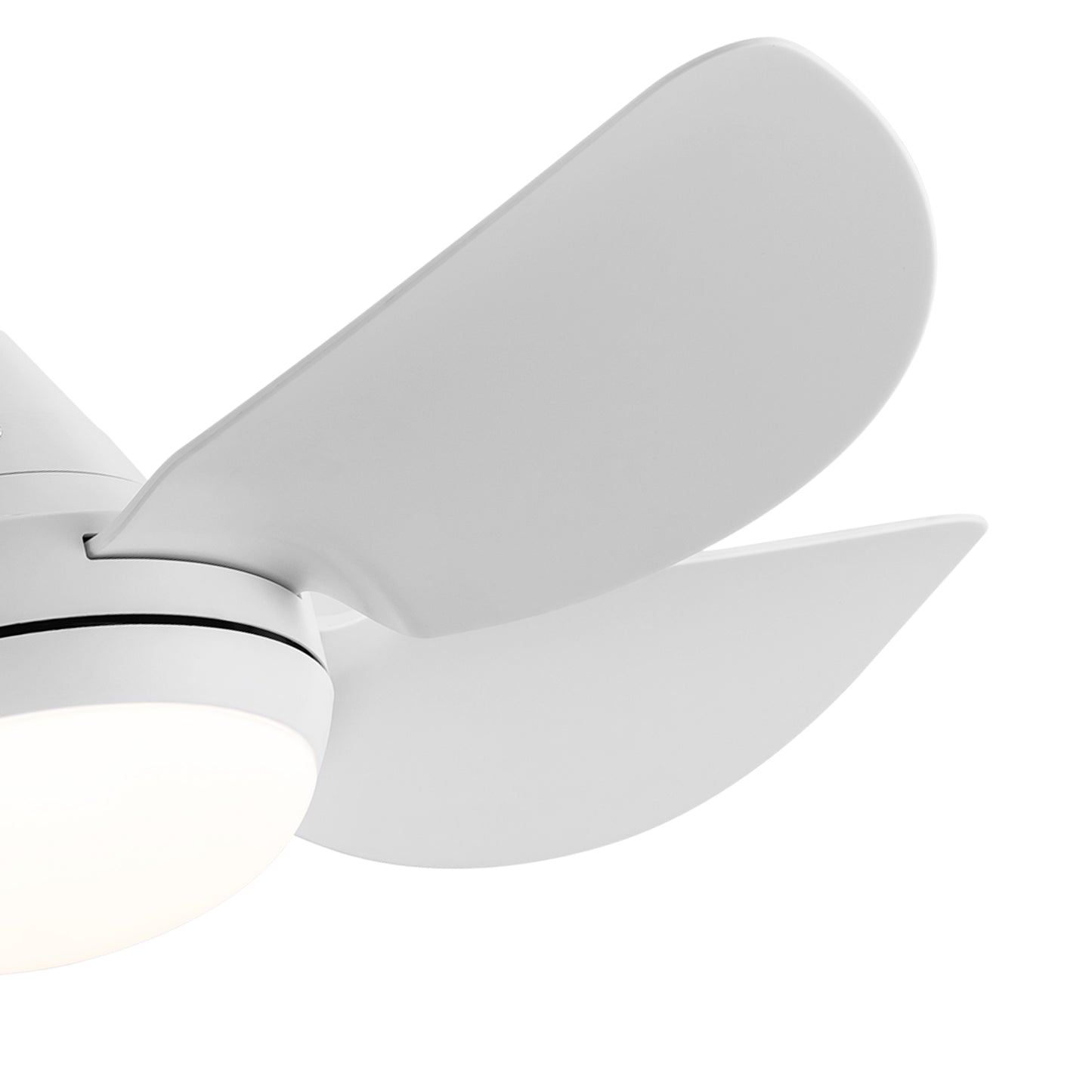 Bright Breeze Ceiling Fan with LED Light