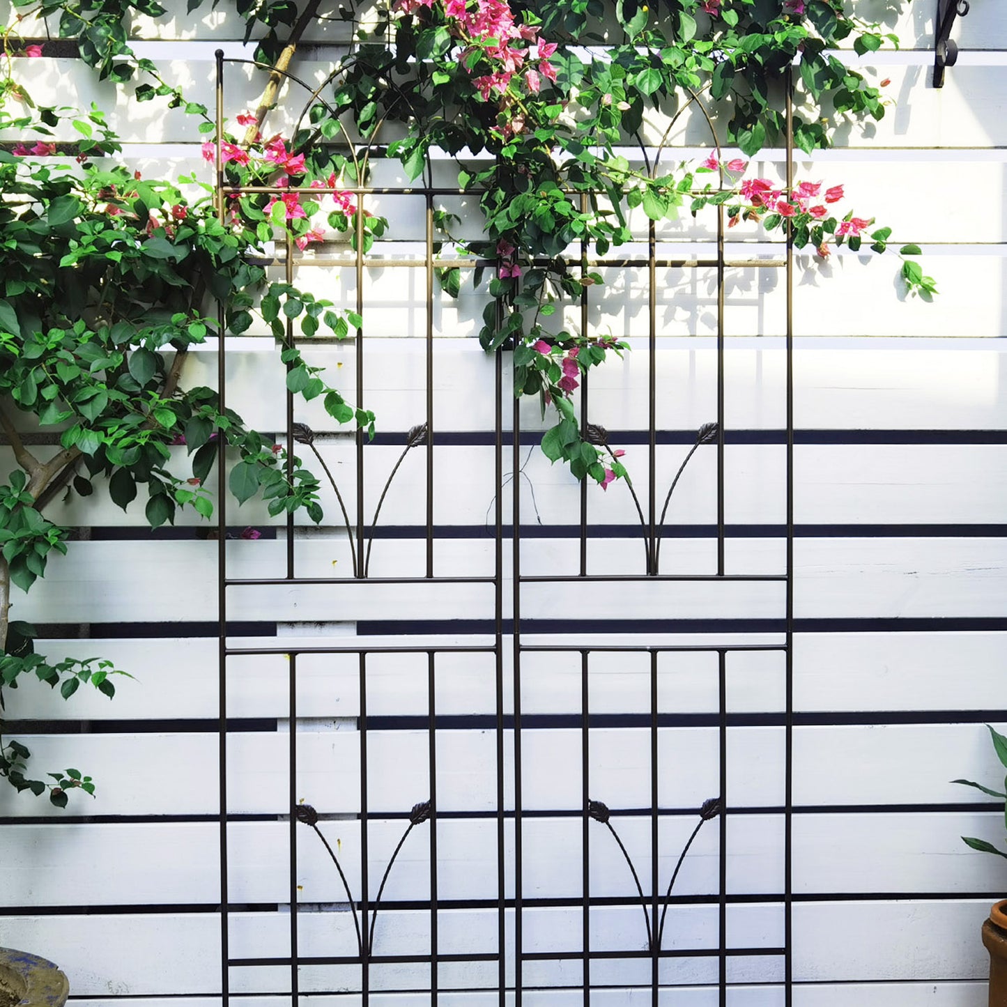 Rustproof Garden Trellis Set for Climbing Plants