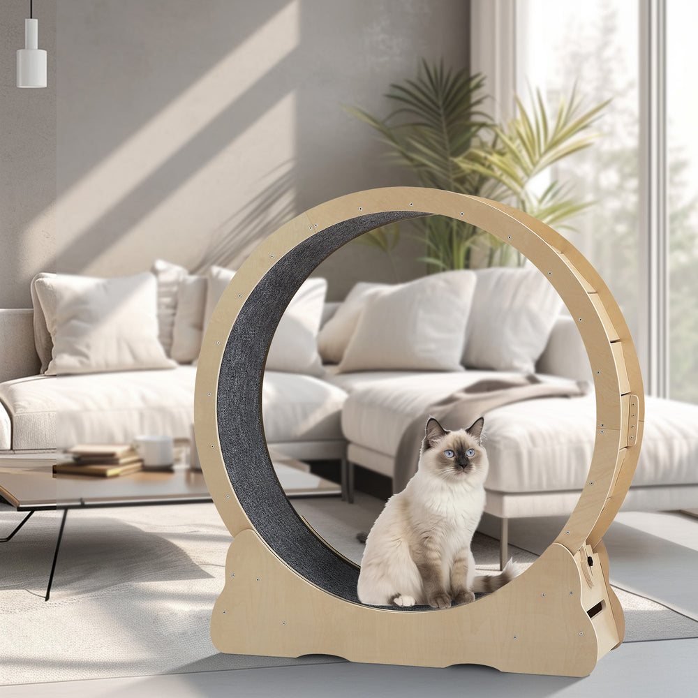 Purr-fect Cat Treadmill - Fun & Safe Exercise Wheel