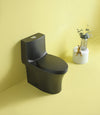 Eco-Friendly Comfort Height Toilet with Soft Close Seat