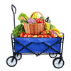 Blue Folding Garden & Beach Wagon