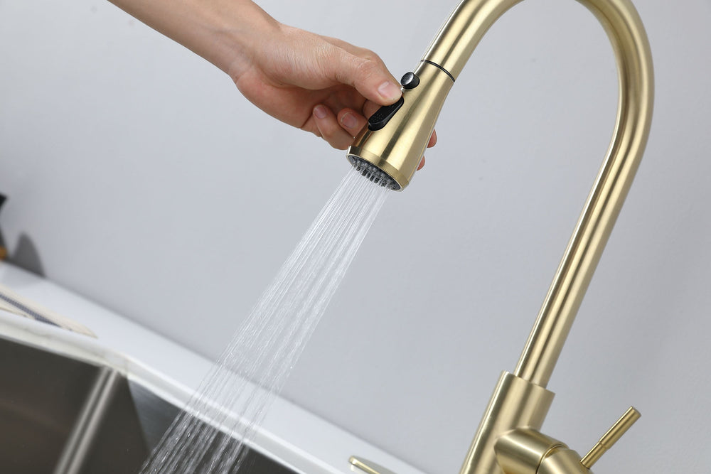 Spray & Shine Kitchen Faucet