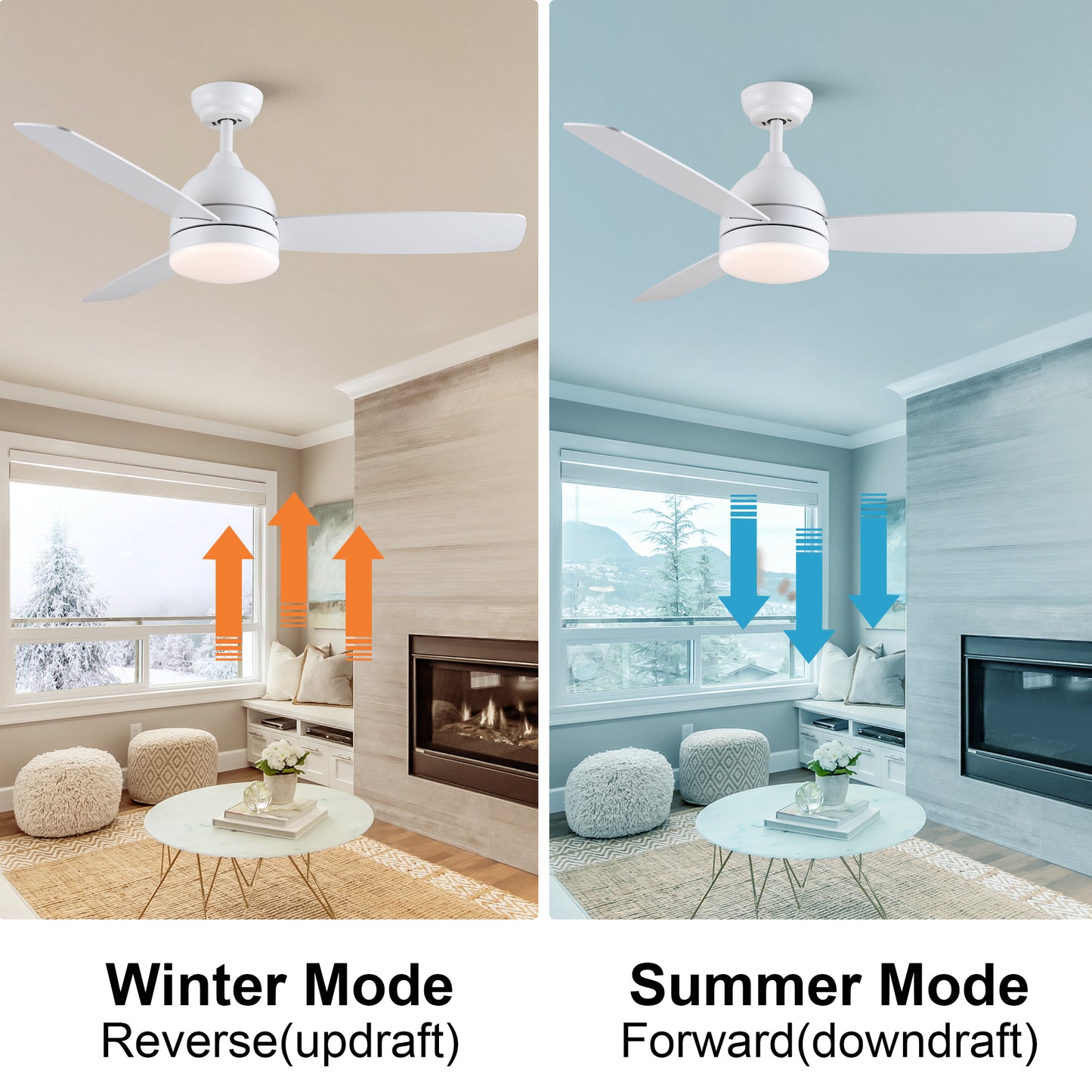 Sleek LED Ceiling Fan with Remote Control