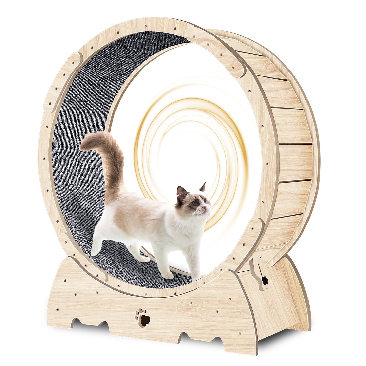 Purr-fect Cat Fitness Wheel