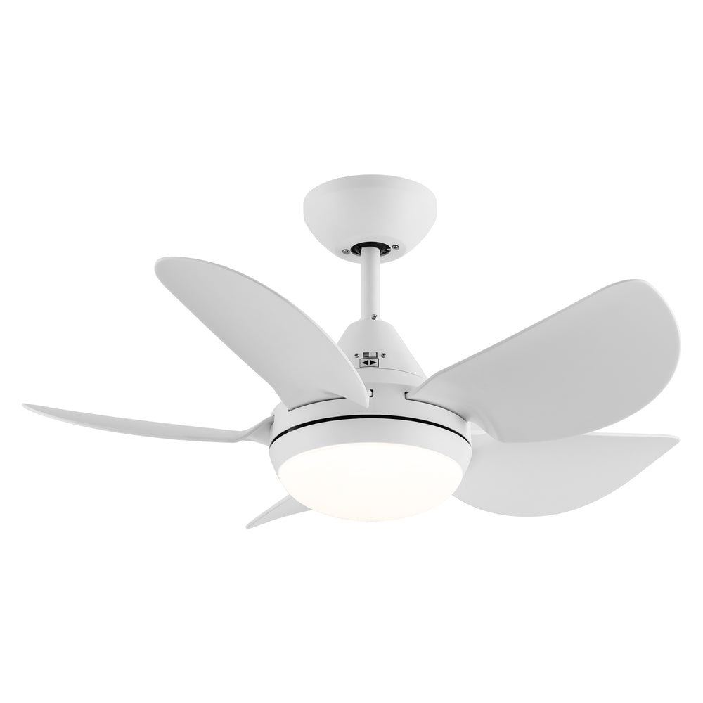 Bright Breeze Ceiling Fan with LED Light